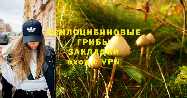таблы Богородицк