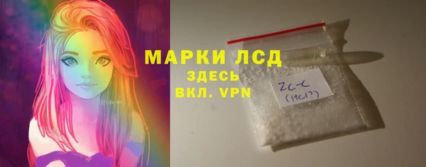 стаф Тында