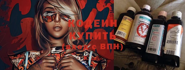таблы Богородицк