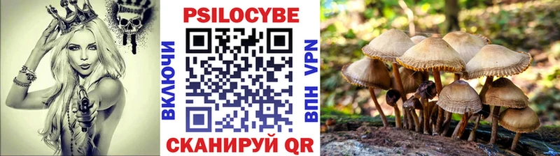 Галлюциногенные грибы ЛСД  наркота  Кольчугино 